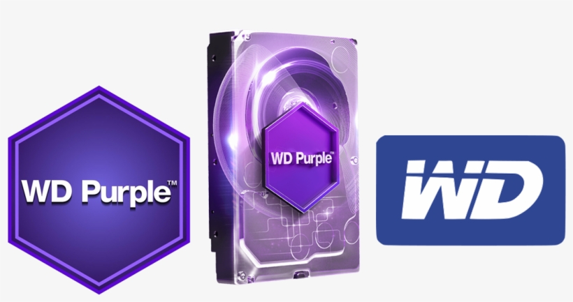 dysk western digital purple